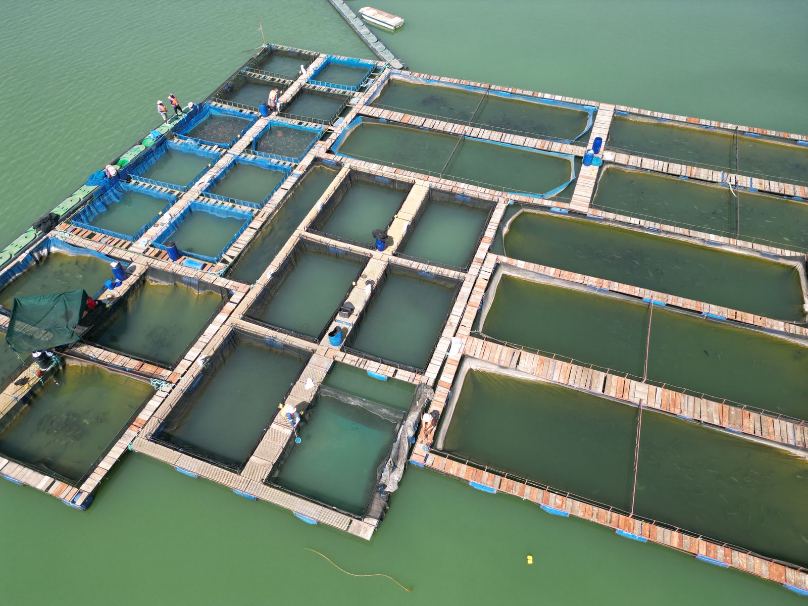 Kindness Spar Enterprises - Fish Feed & Food Production